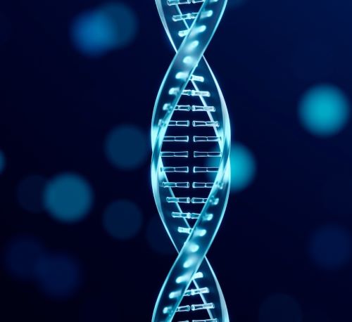 Recombinant DNA Technology Market Size, Growth Opportunities, Industry Trends And Analysis Report 2024-2033

Read More @https://www.thebusinessresearchcompany.com/report/recombinant-dna-technology-global-market-report

#marketresearchreports #DNA #technology