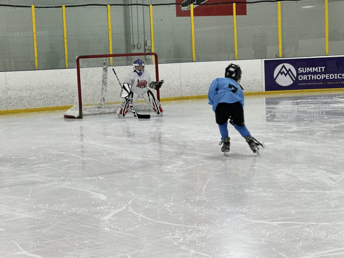 VelocityHockey's tweet photo. It all starts in the back! #goalies #brickwalls #tendy #backstoppers #inthecrease #lastline #stickpaddleglove #kicksave https://t.co/vEvfxb5dmg