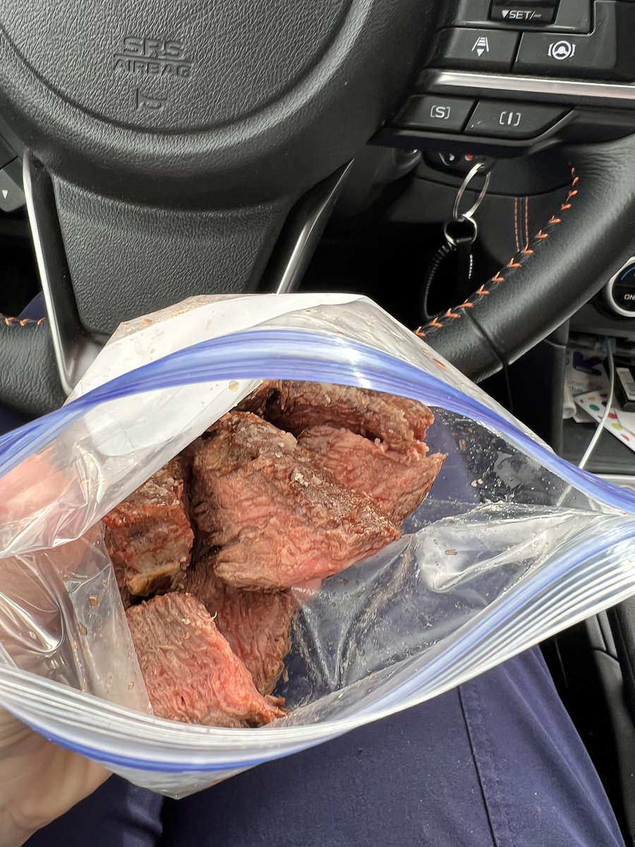 Steak bites in a baggie packed lunch. I know my place in life