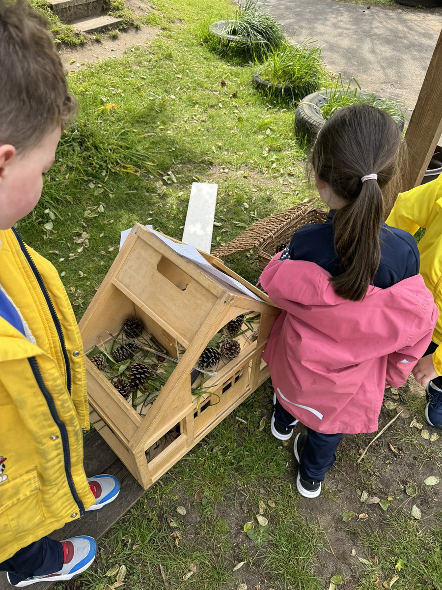 Another amazing bug hotel! We used an old dolls house and transformed it into a bug hotel! We added lots of different types of nature then went searching for minibeasts to put inside! We have even made our own bug hotel signs to welcome bugs in! @Shoreside1234 @MrPowerREMAT