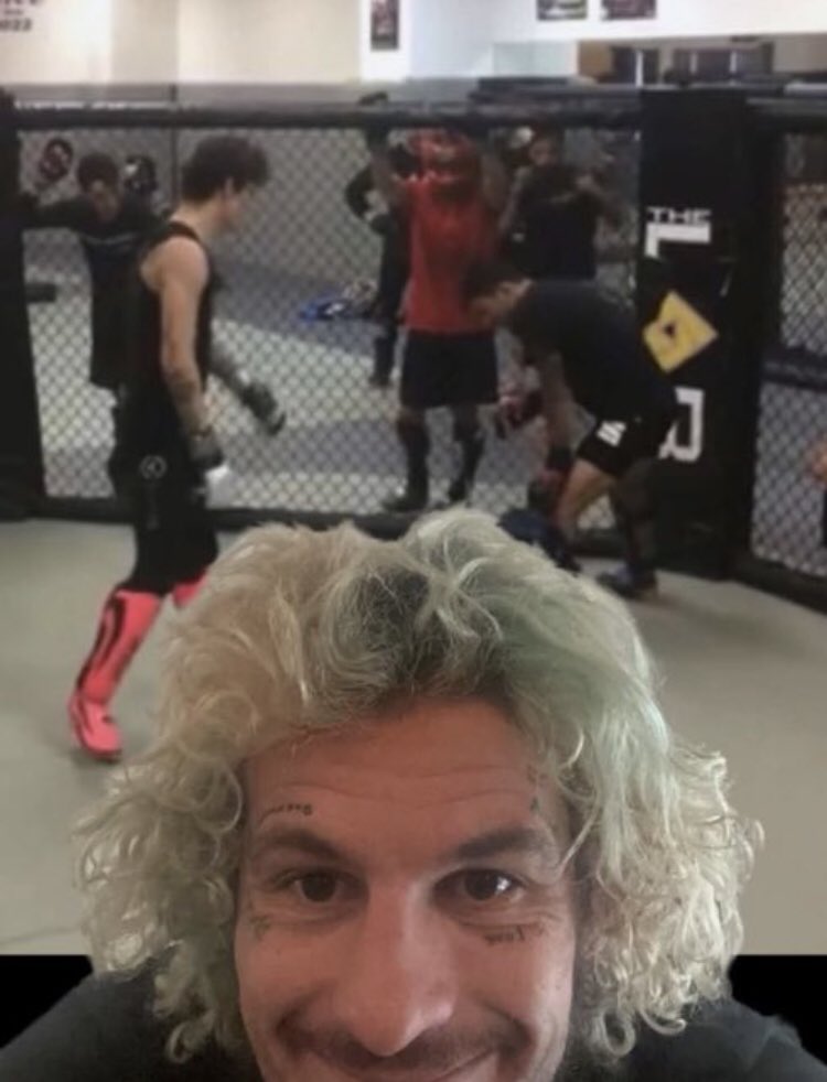 Dylan🇮🇪☘️ tweet media