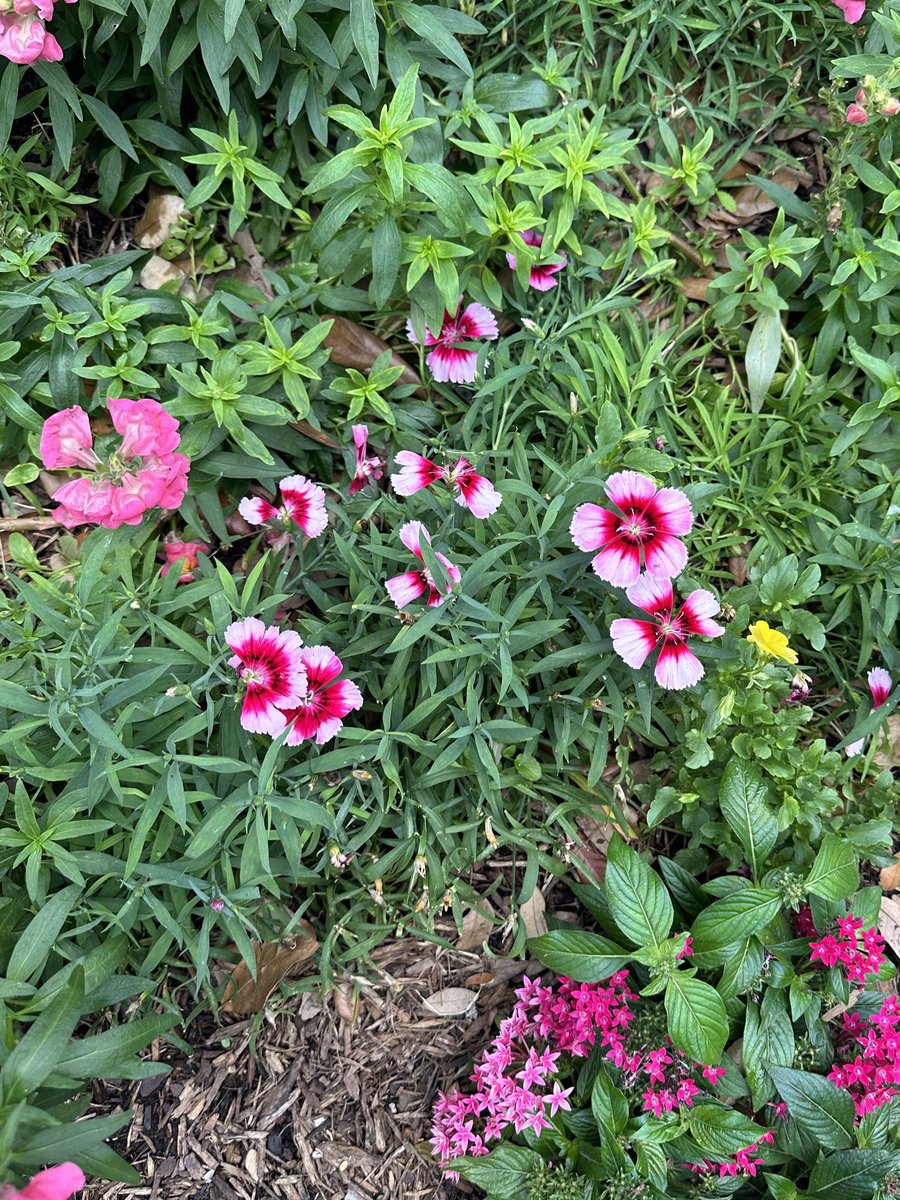 Un abril demasiado especial 🌸❤️‍🩹