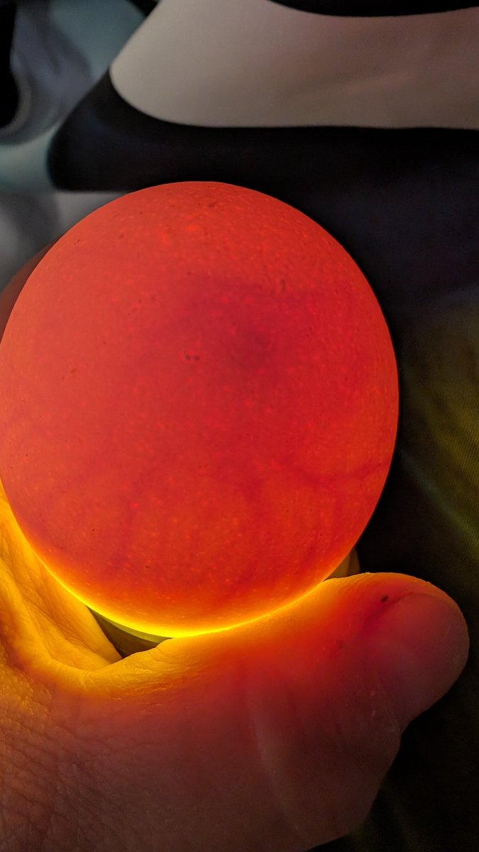 Hannah Wilson (@apexelemlibrary) on Twitter photo Day 7 of incubation! I can't wait for our students to see them hatch! ๐ฃ
<a href="/apexescougars/">Apex Elementary</a> Day 7 of incubation! I can't wait for our students to see them hatch! ๐ฃ
<a href="/apexescougars/">Apex Elementary</a>
