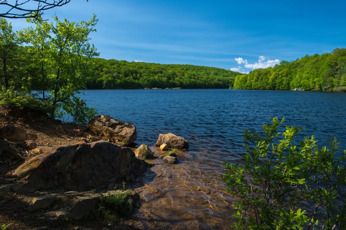 Do you ❤️ New York parks? On May 4, volunteer to help celebrate & protect NY’s park system by participating in cleanups, restorations & more! 🌳 Register for a @ptny #ILoveMyParkDay event: bit.ly/3UJex5Z Registration closes at 5pm on 5/3. 📍 Fahnestock State Park