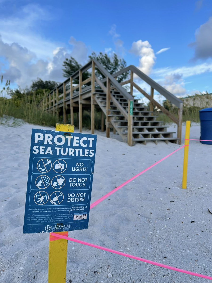 Sea turtle nesting season has officially begun! Please do not disturb nesting sites and keep our beaches smooth and obstacle-free when leaving. That means filling in your holes and knocking down your sand castles so hatchlings can make it to gulf safely after hatching! 🐢