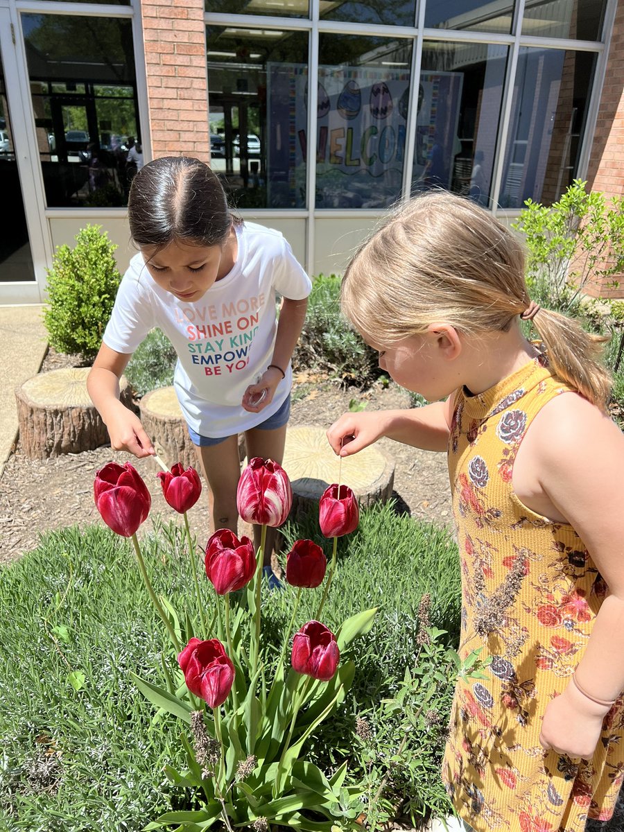 Shanna Struble tweet media