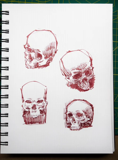 quick skull studies, fude pen and Diamine Oxblood ink 