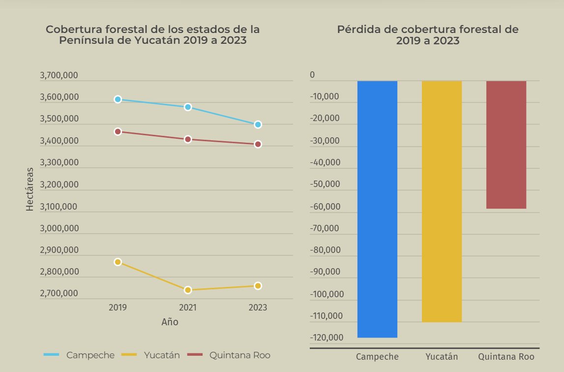 En la #PenínsulaDeYucatán se deforestaron 285,580 hectáreas de 2019 a 2023, equivalentes a 71,395 ha año, de acuerdo con la evaluación del @CCMSSAC a través del #Sicamfor. Consulta los datos y accede al visualizador en: ccmss.org.mx/sicamfor/