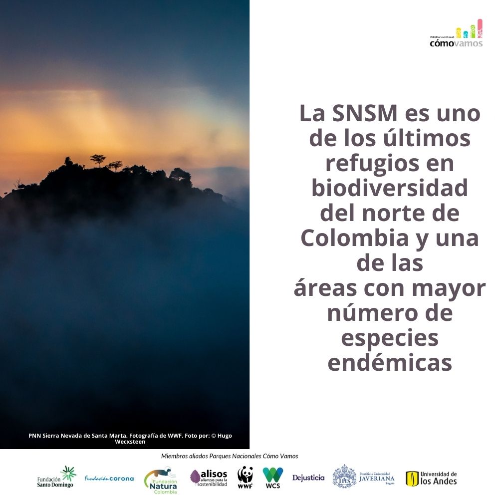 Reiteramos la alerta frente a la posible pérdida de la estabilidad de la Sierra Nevada de Santa Marta, uno de los últimos refugios en biodiversidad del norte del país. Así lo advertimos en el #Informe2023PNCV 👉parquescomovamos.com/informe-2023