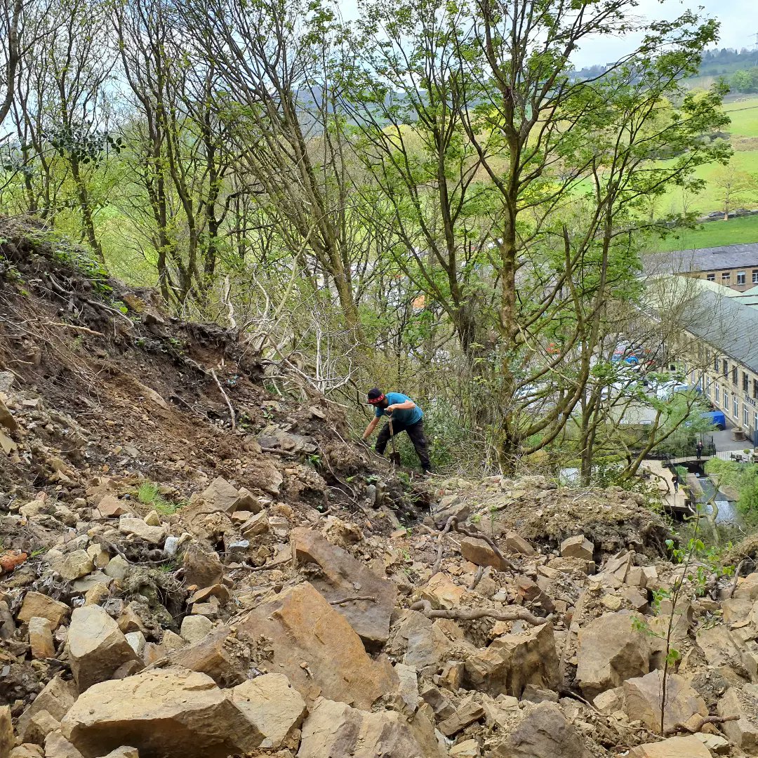 Final planting site of this season with 825 trees planted so far and 150 to go. Sweaty week and a rare occasion with a topless team working now that we don't have Gavin working out with us anymore as he would work on his tan all year round and to keep his clothes dry on wet days.