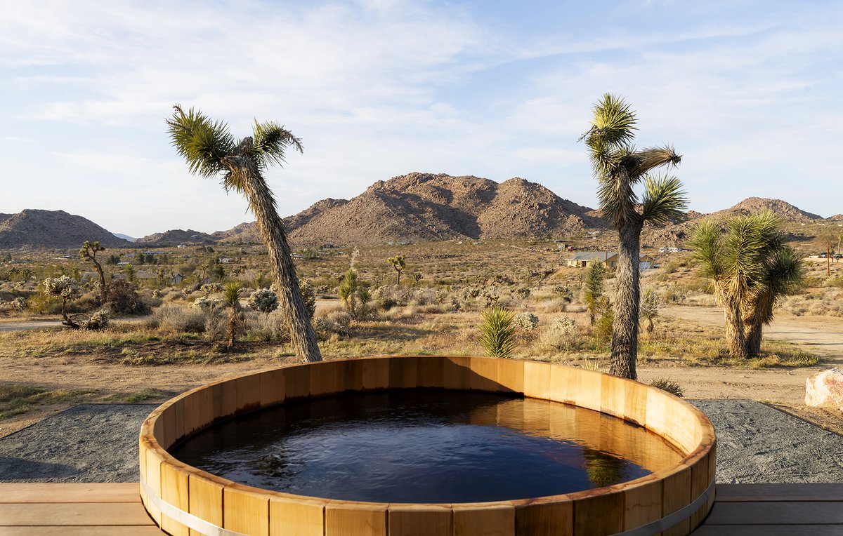 Desert Dreaming 🏜️ This contemporary desert sanctuary comes to life with endless glass walls, illuminating the interiors and disappearing to create an authentic indoor/outdoor living experience. [Listing: @TheAltmanBros | tinyurl.com/8989-Tortuga] #EllimanCalifornia #JoshuaTree