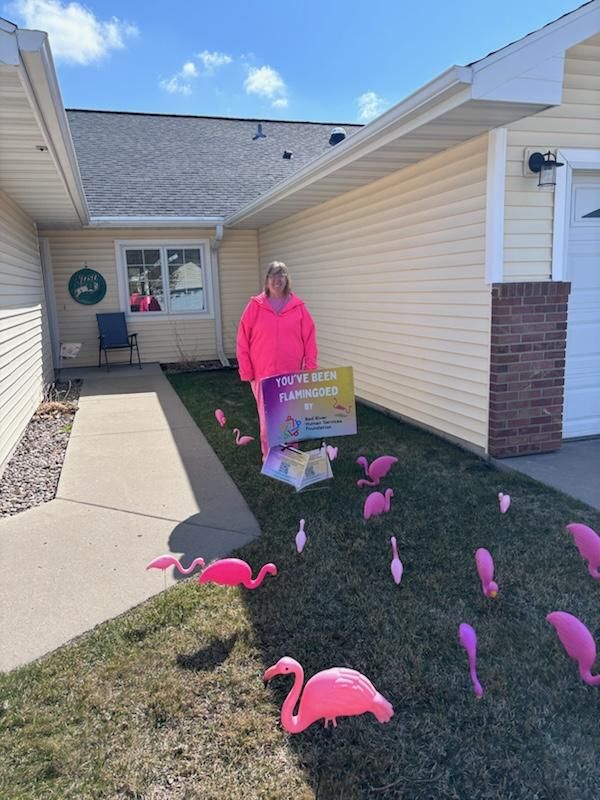 Elissa had a great time putting Flamingoes in her mom's yard for the Fargo Day Hab "You've Been Flamingoed by RRHSF" fundraiser.

It is $20 to nominate someone to get Flamingoed. You can do this by clicking this link: rrhsf.org/donation and texting 701-799-0092