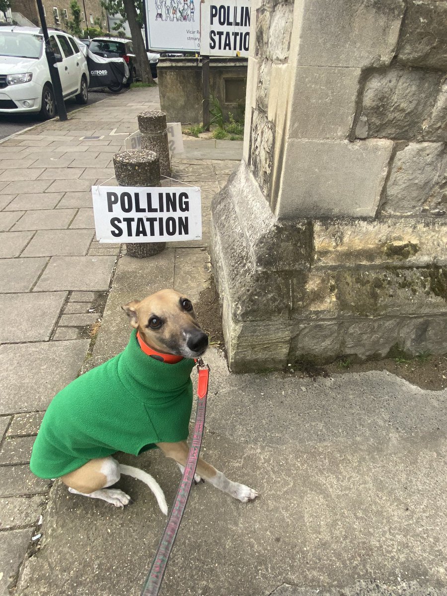 This gent in green but voting red #sadiqforlondon #labour #votenow #dogsatpollingstations 🐕
