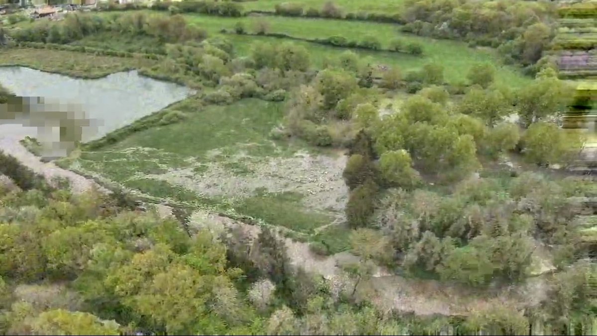 #intempéries | Une centaine de brebis et d'agneaux 🐑 étaient menacés par la montée des eaux 🌊 dans un pré à Chamblac, après les pluies ☔ de cette nuit. Les sapeurs-pompiers 🚒🧑‍🚒 sont intervenus pour sécuriser le troupeau sur un point haut, identifié à l'aide d'un drone.