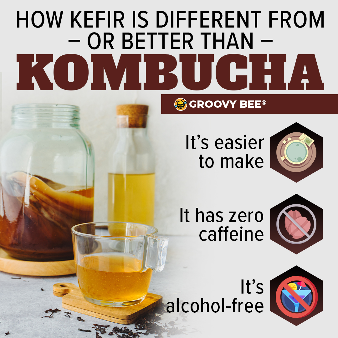 How water kefir is different from kombucha #kombucka #waterkefir #healthyoption #dailydetox #healthbenefits #healthydrink #smartchoice