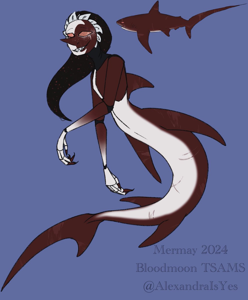 Another day another design
He’s a thresher shark