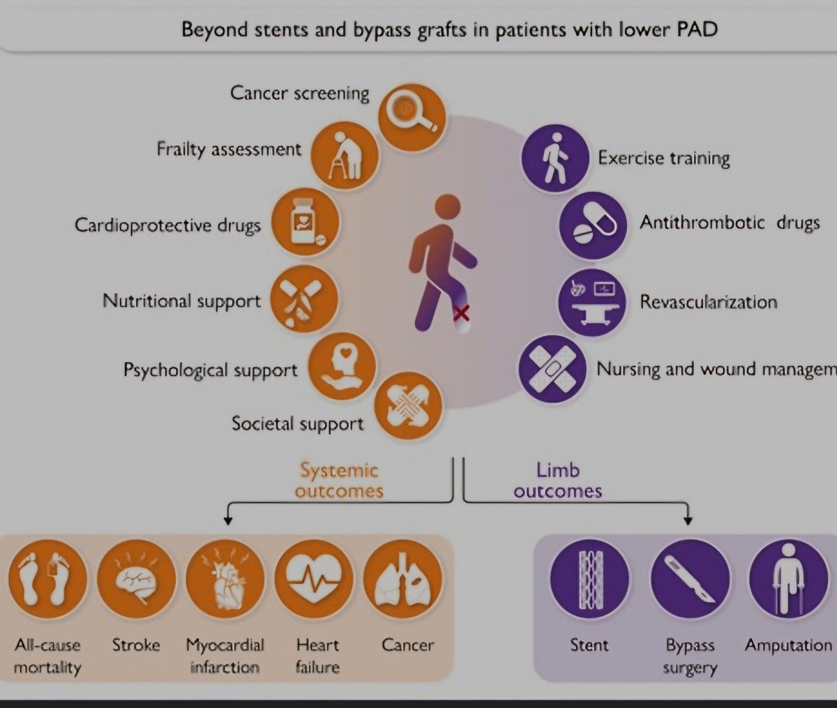 Taking care of patients with #PAD: beyond stents and grafts. A call for a holistic management of these patients. See our editorial with @Marcodecarlo72 published on line today in EHJ. @ESC_Journals @EAPCvzw