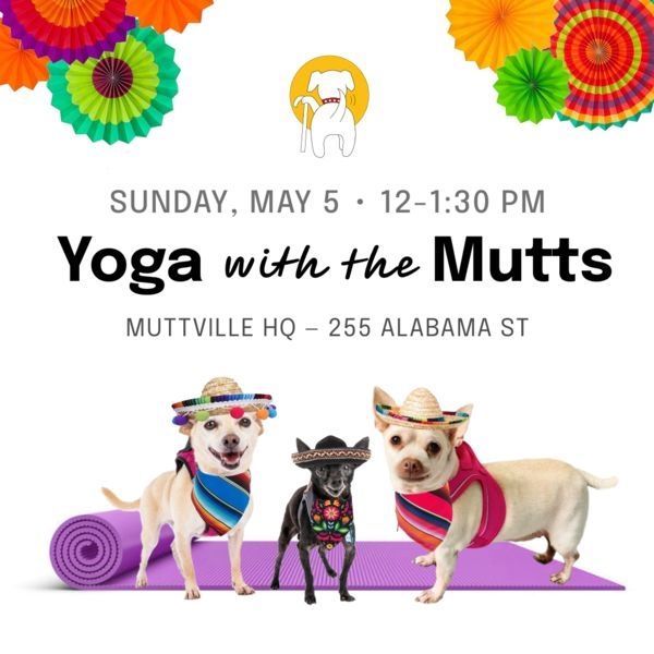 Join us for some #yoga #doga fun at Muttville this Sunday! 🧘‍♀️🧘‍♂️🐶 buff.ly/4d0OfDj