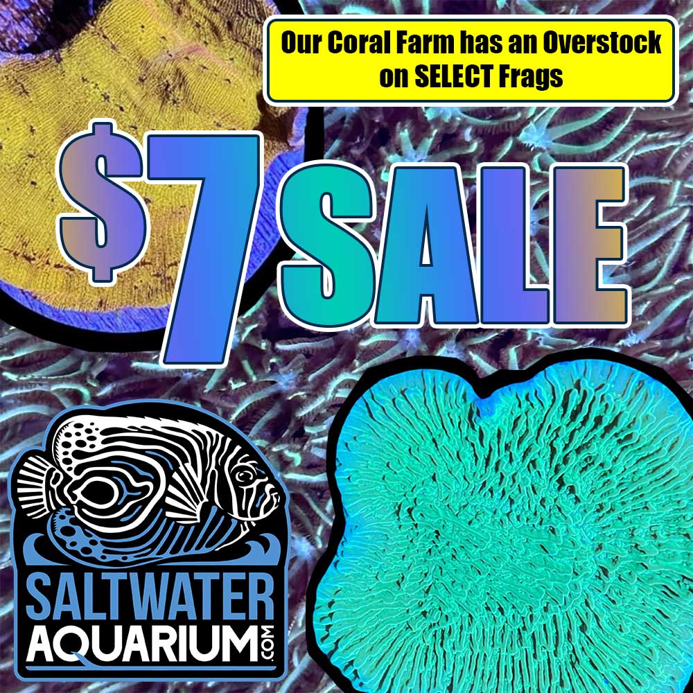 $7 Frag OVERSTOCK Sale!  Our Coral Farm is Growing out So Well, We Can't Keep Up!  

saltwateraquarium.com/live/overstock/

Time to grab a few frags and save some $$$.

#allmymoneygoestocoral #coralfrags #zoanthids #reeftank #saltwateraquarium