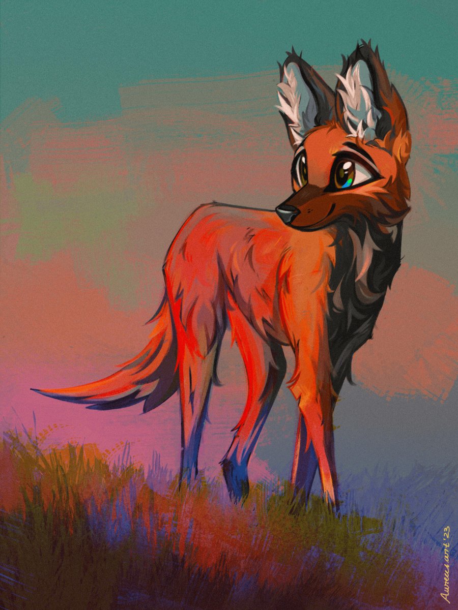 Maned wolf illustration I made back in January