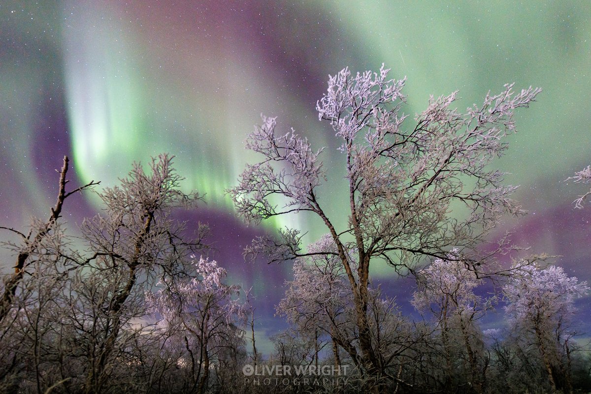 Very good aurora statistics right now - if they hold has strong potentials of aurora as soon as it's dark enough Try to find as dark and as clear area as possible and look north :) Good forecast for most of Yorkshire Lets see what happens! PS this image was not Yorkshire ;-)