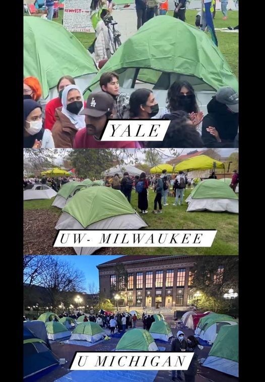 Does anyone else find it odd that they all have the same tents?