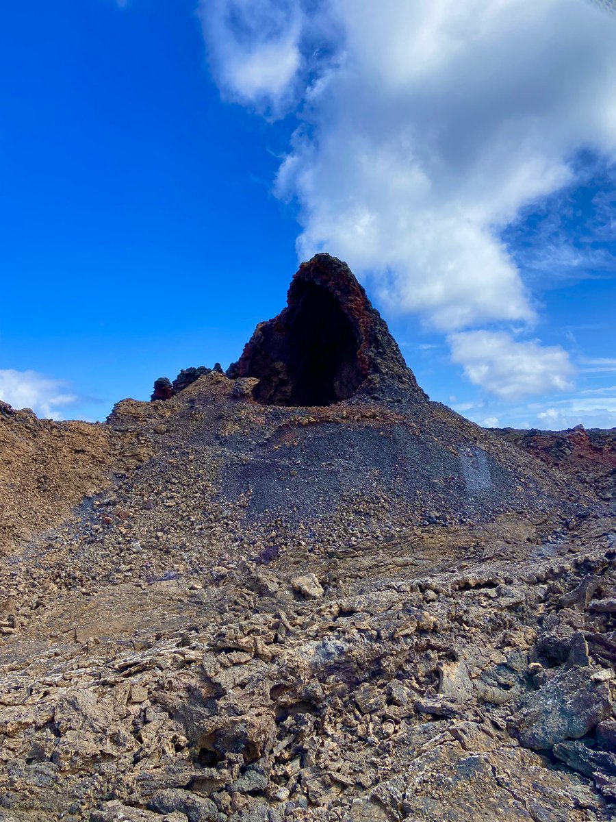 ✨ Initiales GG ✨ tweet media