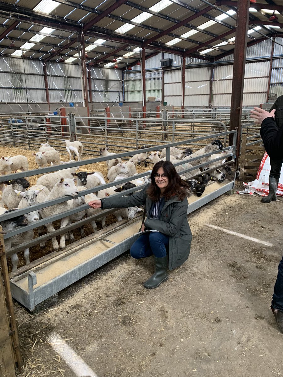 Massive thank you to @UFUHQ for hosting @theCCCuk on William Irvine’s first day in office as President. We learned so much from William, John, Aileen and James. The tour of Hilary and Roger Bell’s wonderful sheep and beef farm was the icing on the cake 🙏