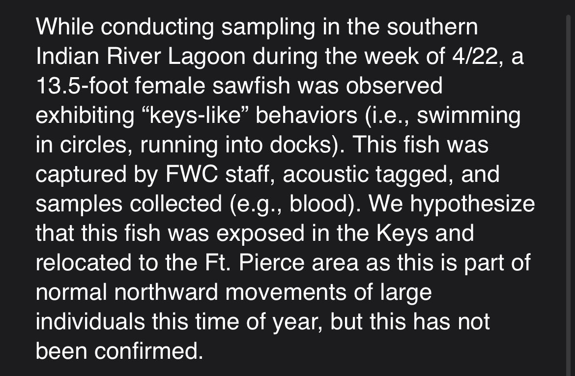 .@MyFWC tells me a sawfish with abnormal behavior — similar to what’s being observed in the Florida Keys — was found ~200 miles north in the Fort Pierce area This is the northernmost report so far. Current theory is the animal swam up from the Keys: