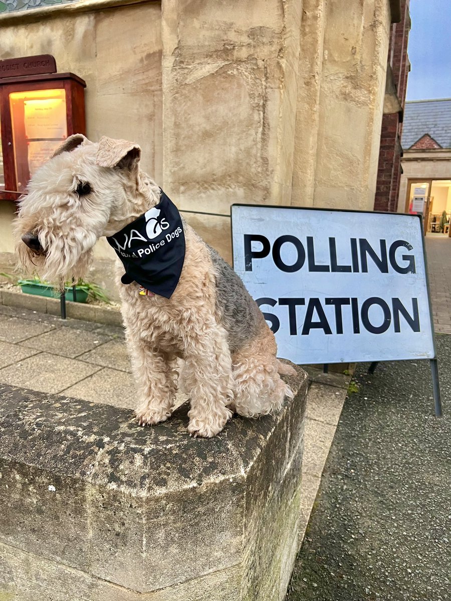 Here I am supporting @999WAGS Retired Police Dogs along with @alexlovelltv ❤️ #dogsatpollingstations #999wags
