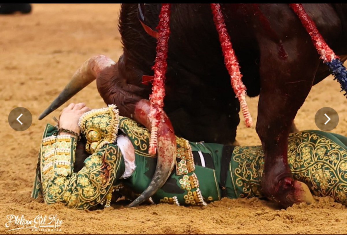 Triunfo y Puerta Grande de <a href="/PepeLuiCirugeda/">PepeLuis</a> ante un encierro de <a href="/palha/">palha</a> en Aire Sur L’adour