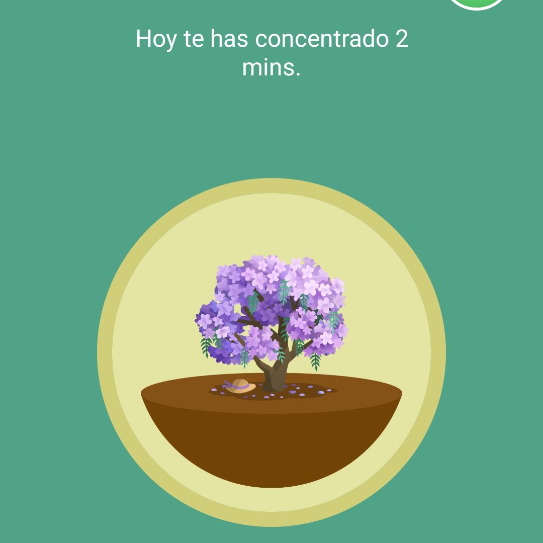 día productivo