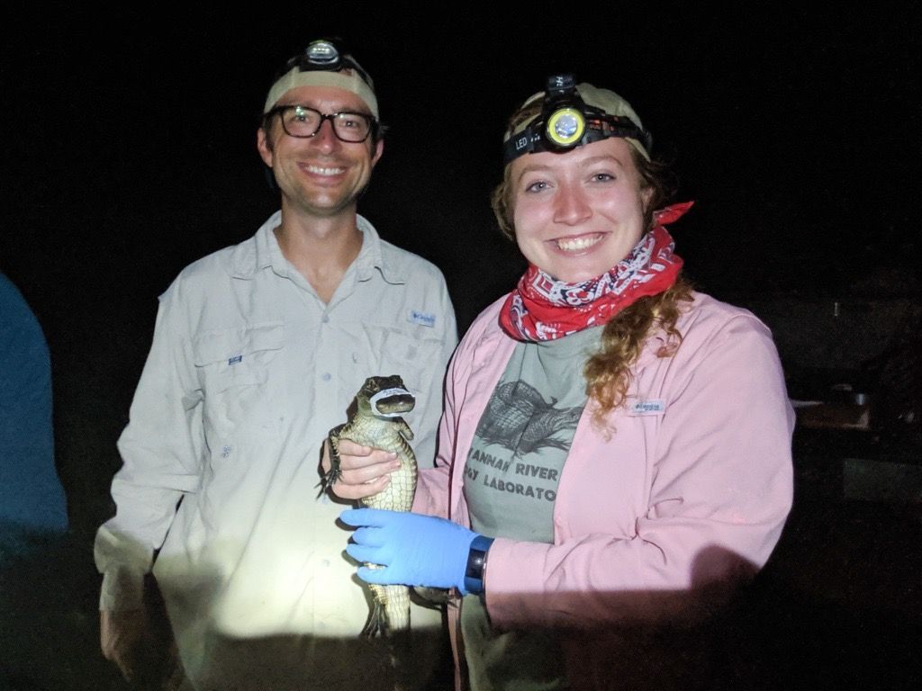 Check out the recent study by UGA's SREL researchers on how epigenetic drift affects aging in animals. The findings hint at new ways to potentially predict and slow down the aging process. Link➡️ buff.ly/4bDChOz Researchers: Benjamin Parrot and Emily Bertucci-Richter