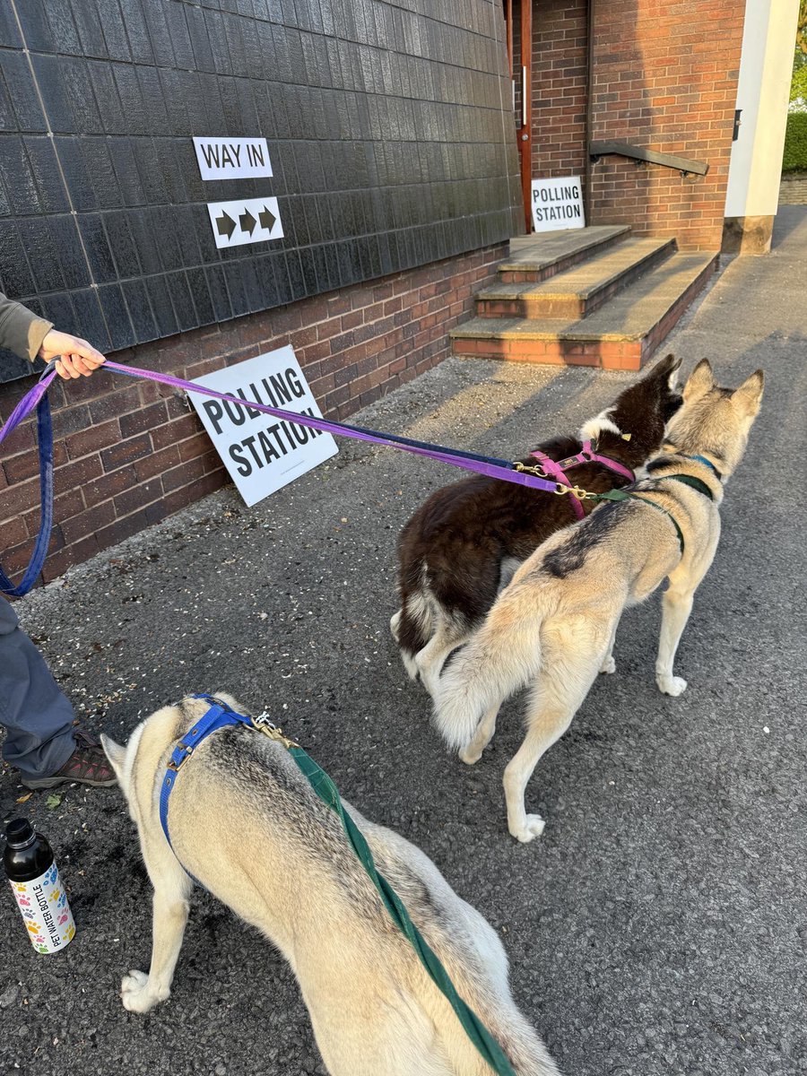 Been & Voted #dogsatpollingstations