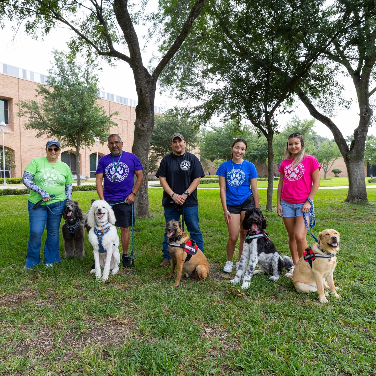 Sometimes all you need is a little #dogtherapy to get you through the week. 🐾 😌 Best of luck on your final exams! 

#utrgv #finalsweek #utrgvstudents #vsup