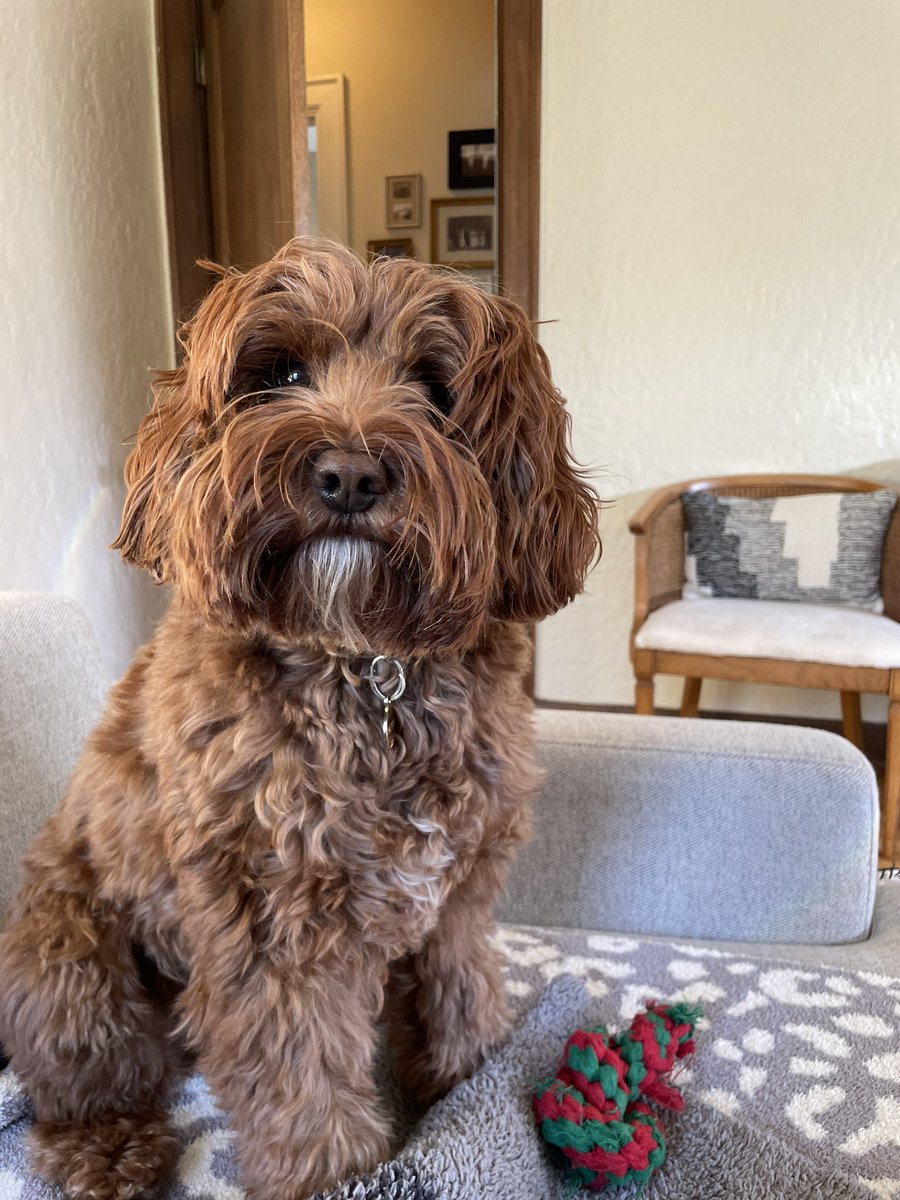 kaia ❤️‍🔥 tweet media