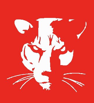Summer camps are now online and available for registration! Go Coogs‼️ brushfire.com/comalisd