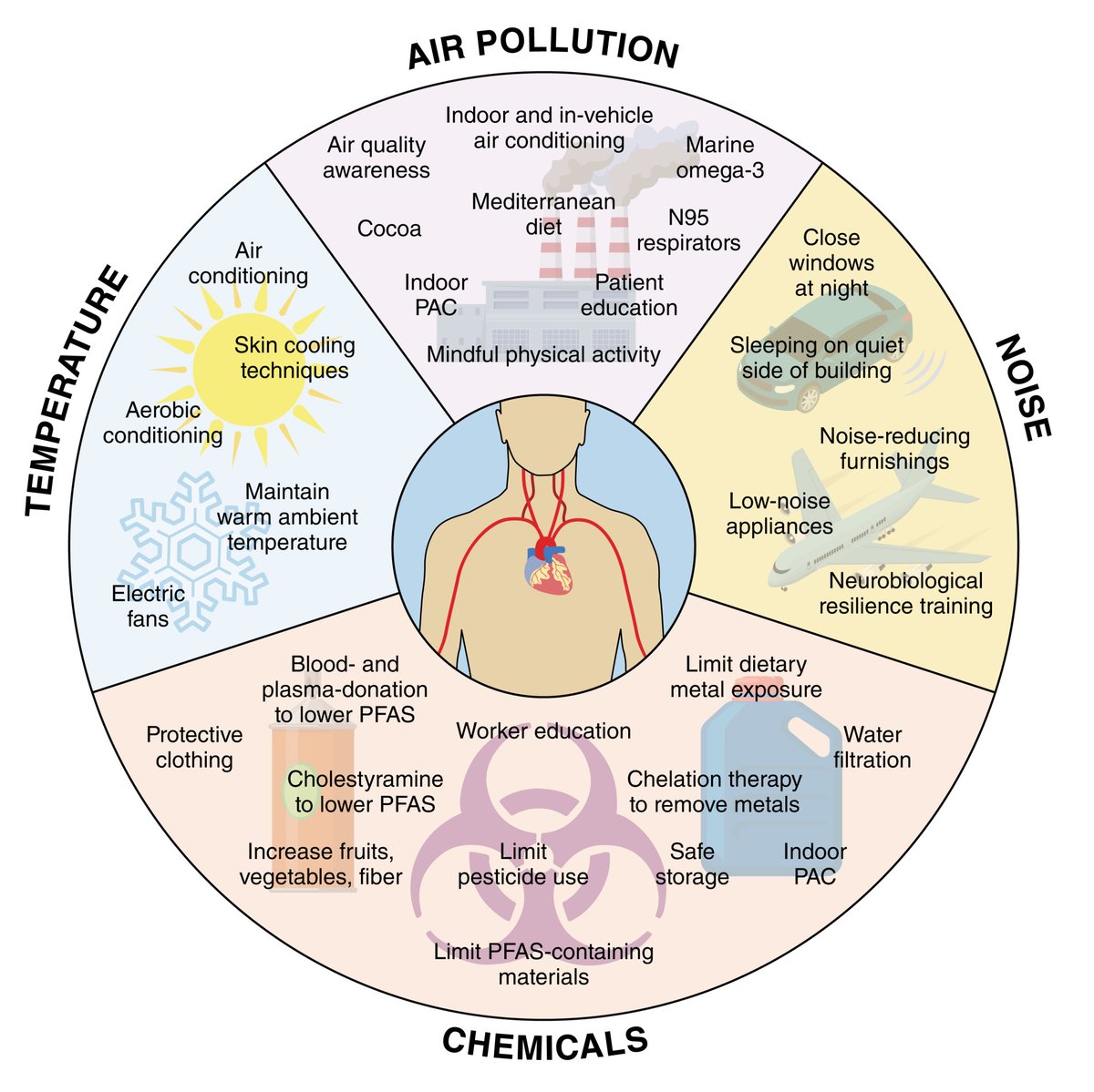 @CircRes #Environmental Impacts on #Cardiovascular Health and #Biology Compendium Alert! Personal Strategies to Reduce the Cardiovascular Impacts of Environmental Exposures ahajrnls.org/3y3Uqqd Authored by Drs. @LukeBonanni & @jdnewmanMDMPH
