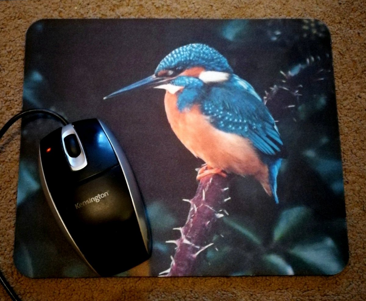 This is my 'Kingfisher on a thorny branch' mousemat! 😀 You can buy it here; carlbovis.com/product-page/m… 🐦❤️