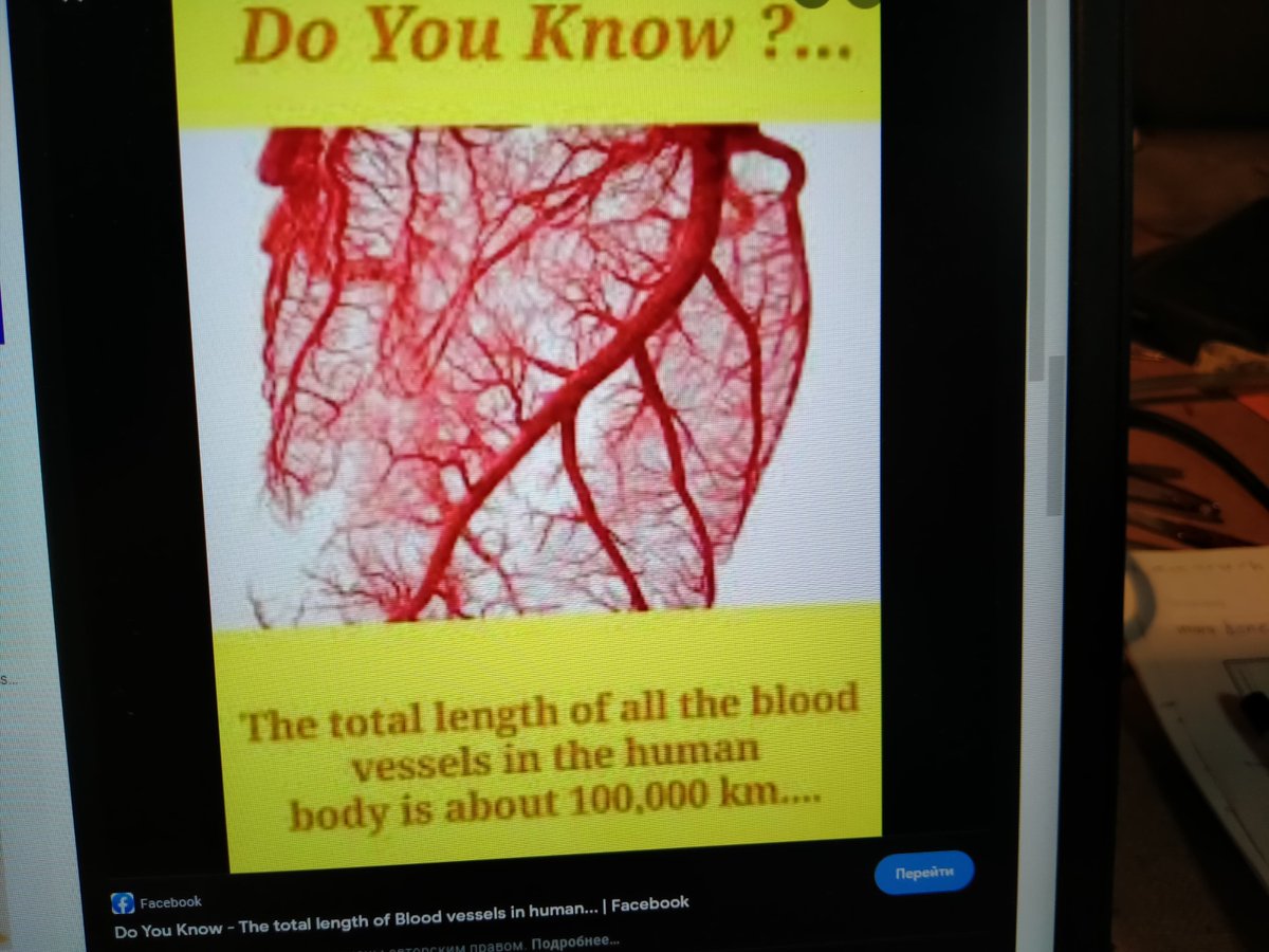 EVERY HUMAN HAS A FINITE NUMBER OF HEART BEATS IS WRITTEN IN SOME MEDICAL LITERATURE! IT IS WRONG! I AM A DOCTOR, AN ARISTOCRAT! ALL DEPENDS HOW MUCH MONEY YOU HAVE! UNJUST WORLD! EITHER YOU EAT SUPER FOODS,OR PIZZA, HAMBURGERS AND COCACOLA! ALL WILL EFFECT YOUR BLOOD CIRCULATION