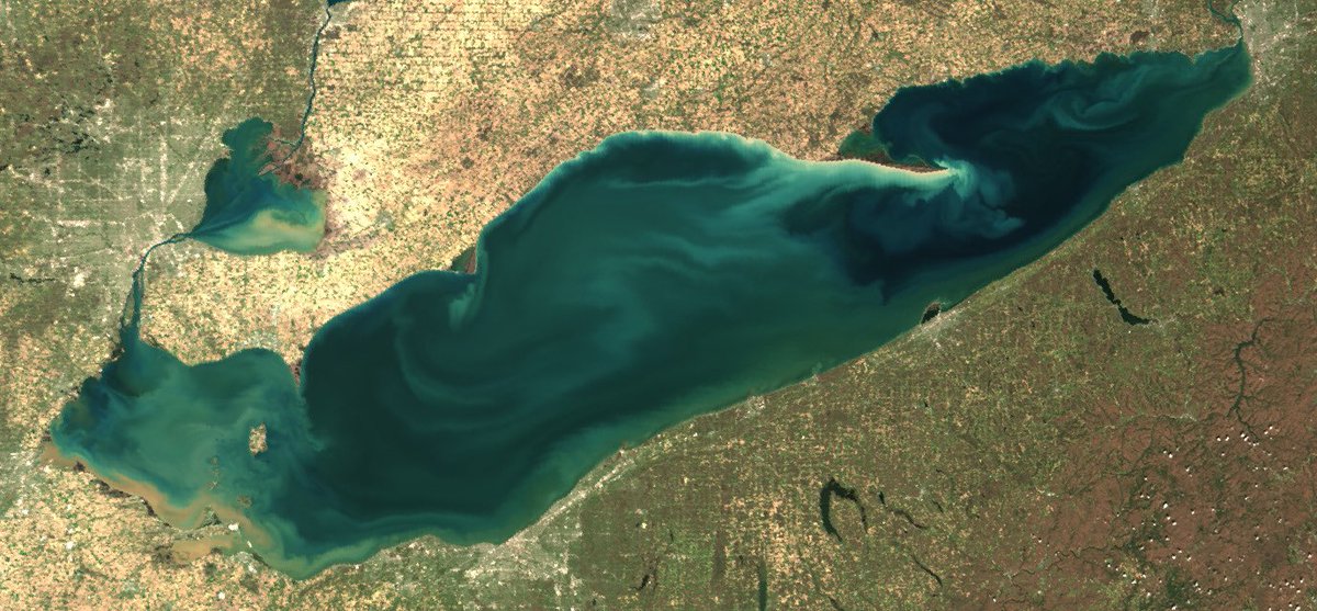Weekly updates will be provided throughout the season. Don’t miss a notification, subscribe to the #HarmfulAlgalBloom forecasts and alerts for Lake Erie today: public.govdelivery.com/accounts/USNOA…