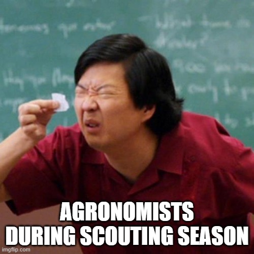 Obviously, there's a lot more to scouting, but a good picture can be worth a thousand bushels. 

Shout them out if you have any more scouting tips, and save your local agronomists and experts from this: