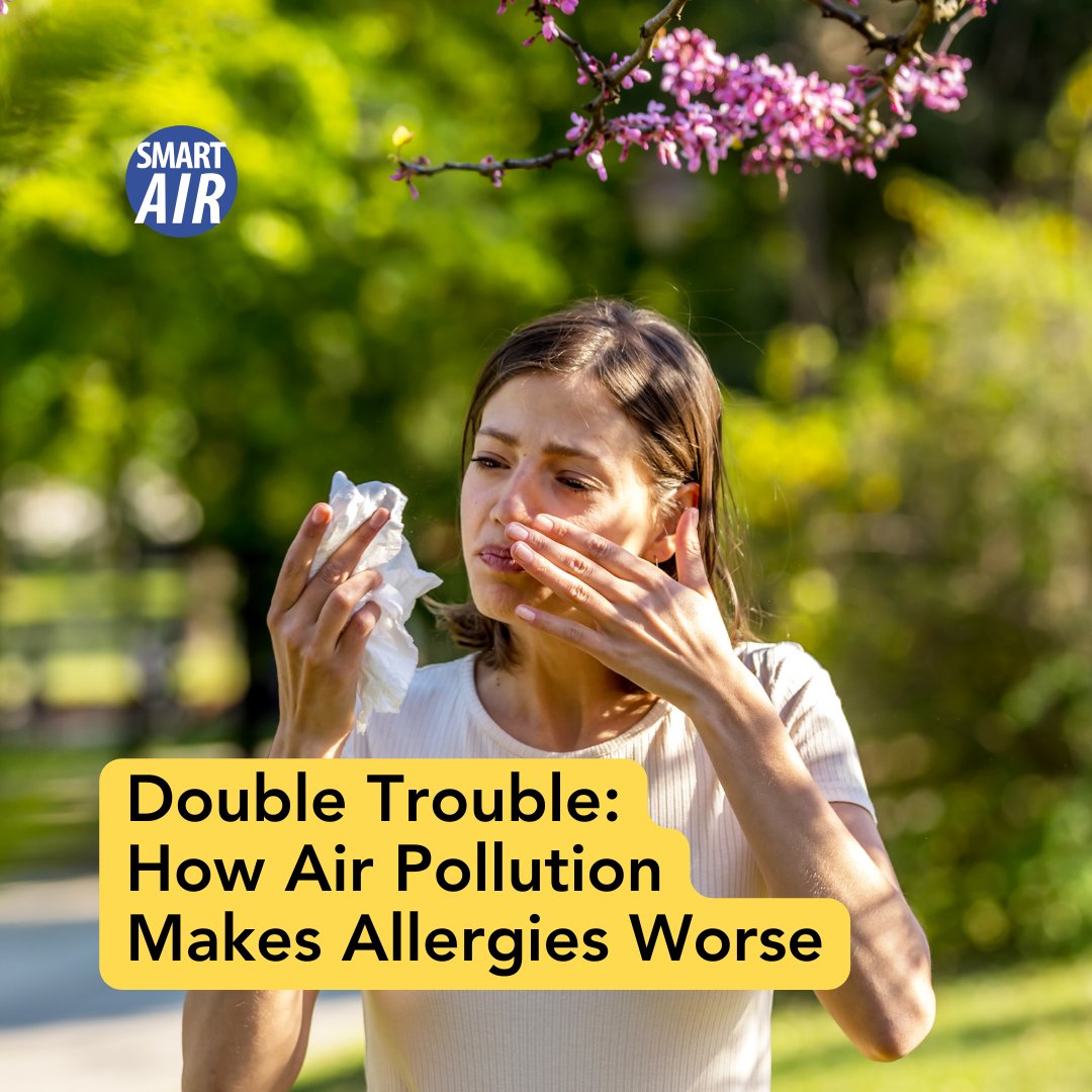 Allergies hitting hard? It's not just #pollen — it's also #airpollution. As climate change prolongs and intensifies pollen seasons, pollutants from cars and factories worsen our symptoms: bit.ly/3UFu3j8