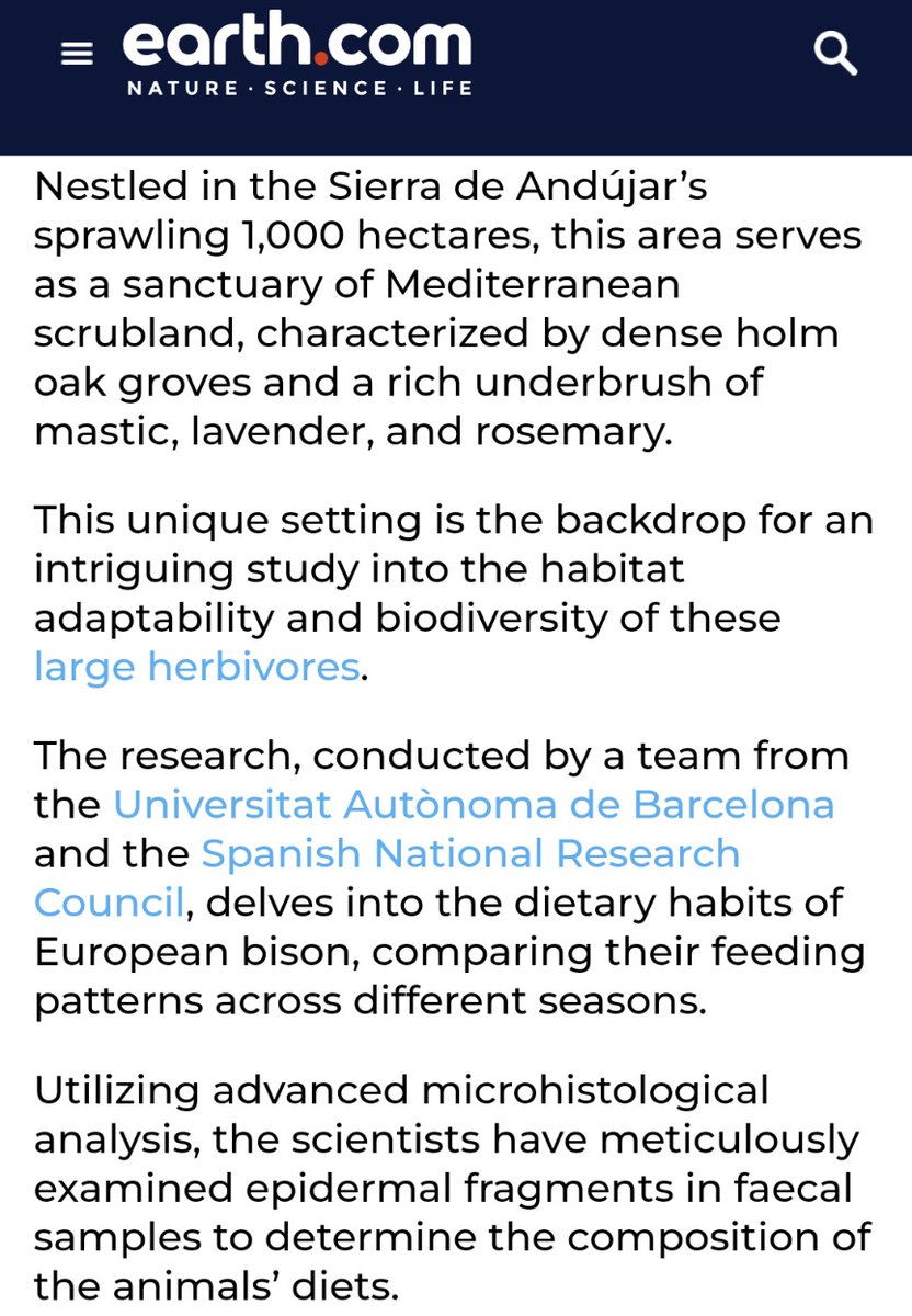 ♻️ #European #bison #once #nearly #extinct #thrive in #southern #Spain. 
#EuropeanBison #RedDeer n #FallowDeer part o #ecological #experiment @ #ElEncinarejo #farm in #diverse n #arid #landscape o #southernSpain🛤️

#Species #SierradeAndújar #StreetTreck🛤️ 
earth.com/news/european-…