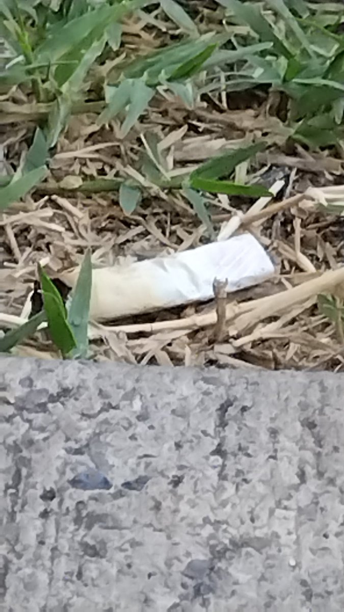 Miren, un cigarro tirado en mi patio :D