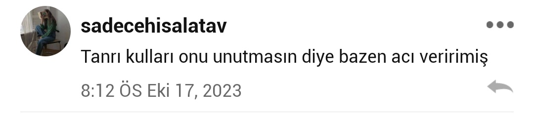 1. Yorumu arada bir okurum. İlk kez bir yorum(eleştiri) bu denli beni etkilemişti🥺 2.sinin ise haklılığı acı verici ya