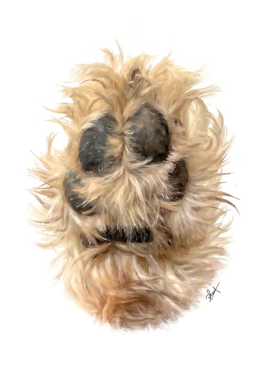 A very special paw of a very special Goldendoodle (mine). Can’t begin to tell you how long this took! Way longer than a standard portrait, at this size each strand of hair counts.

#dogs #doglove #goldendoodles #dogart #art #artwork #paws #dogpaw