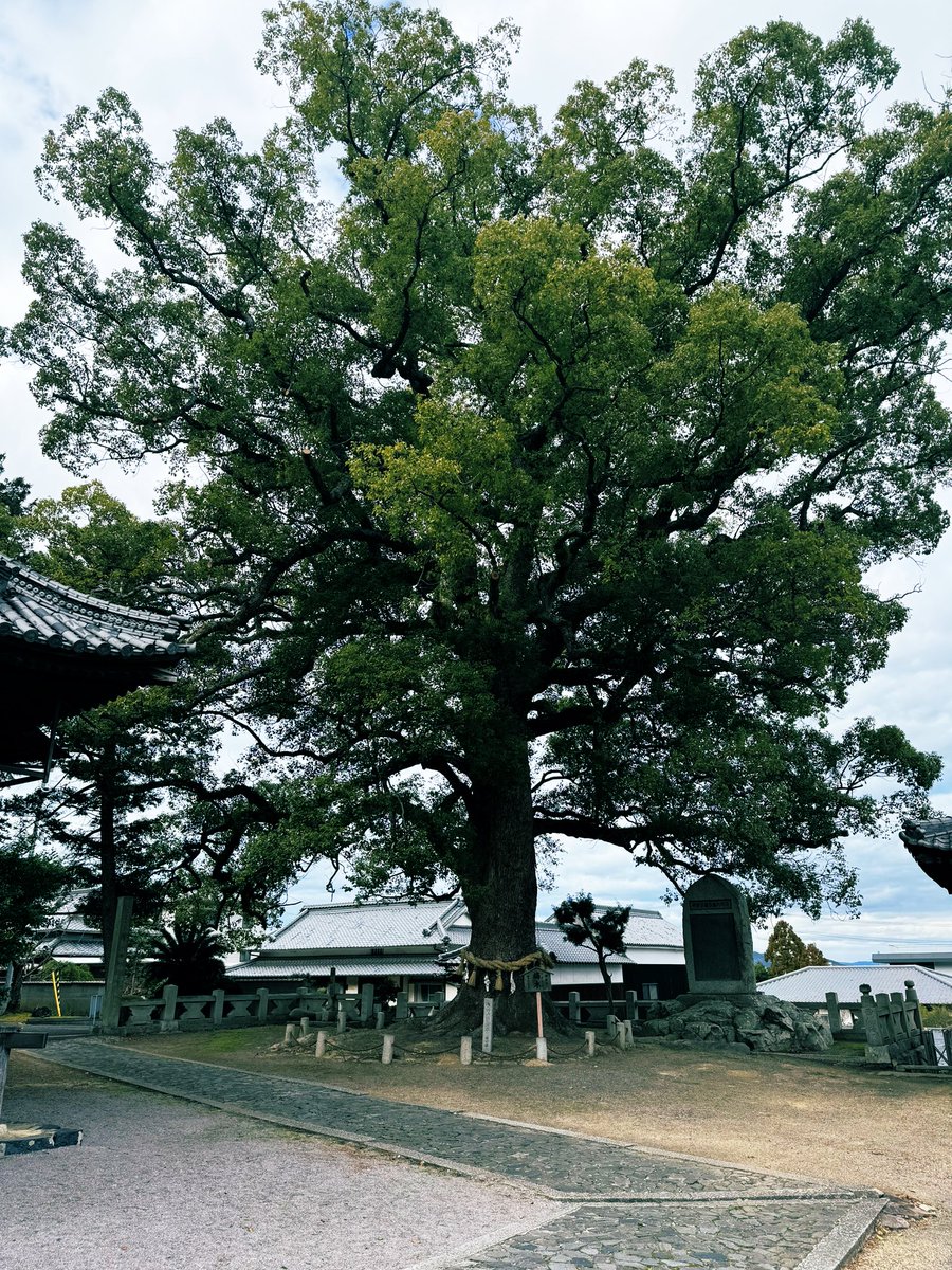 NSTAXFREE's tweet image. 釈迦牟尼仏初転法輪