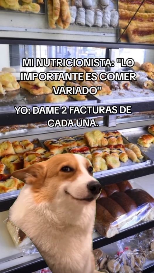 yosiome's tweet photo. No veo fallas en su logica. https://t.co/GDZhcMCT0h