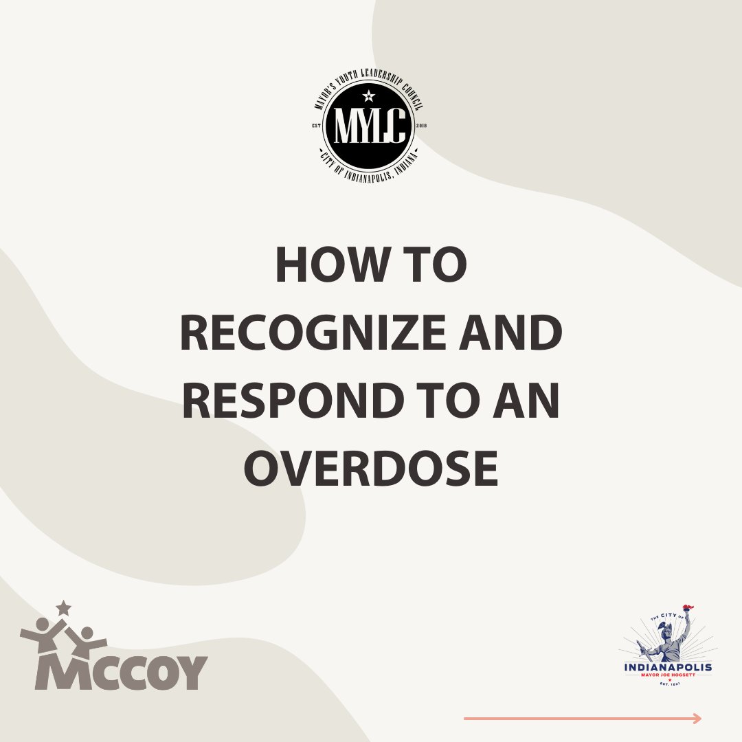 Indianapolis Mayor's Youth Leadership Council tweet media